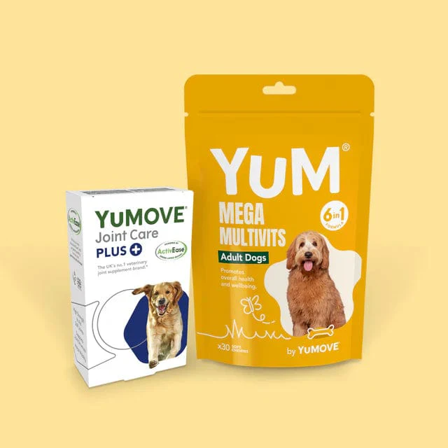 Adult Dog Bundle Lite (Extra Large) - Image 3