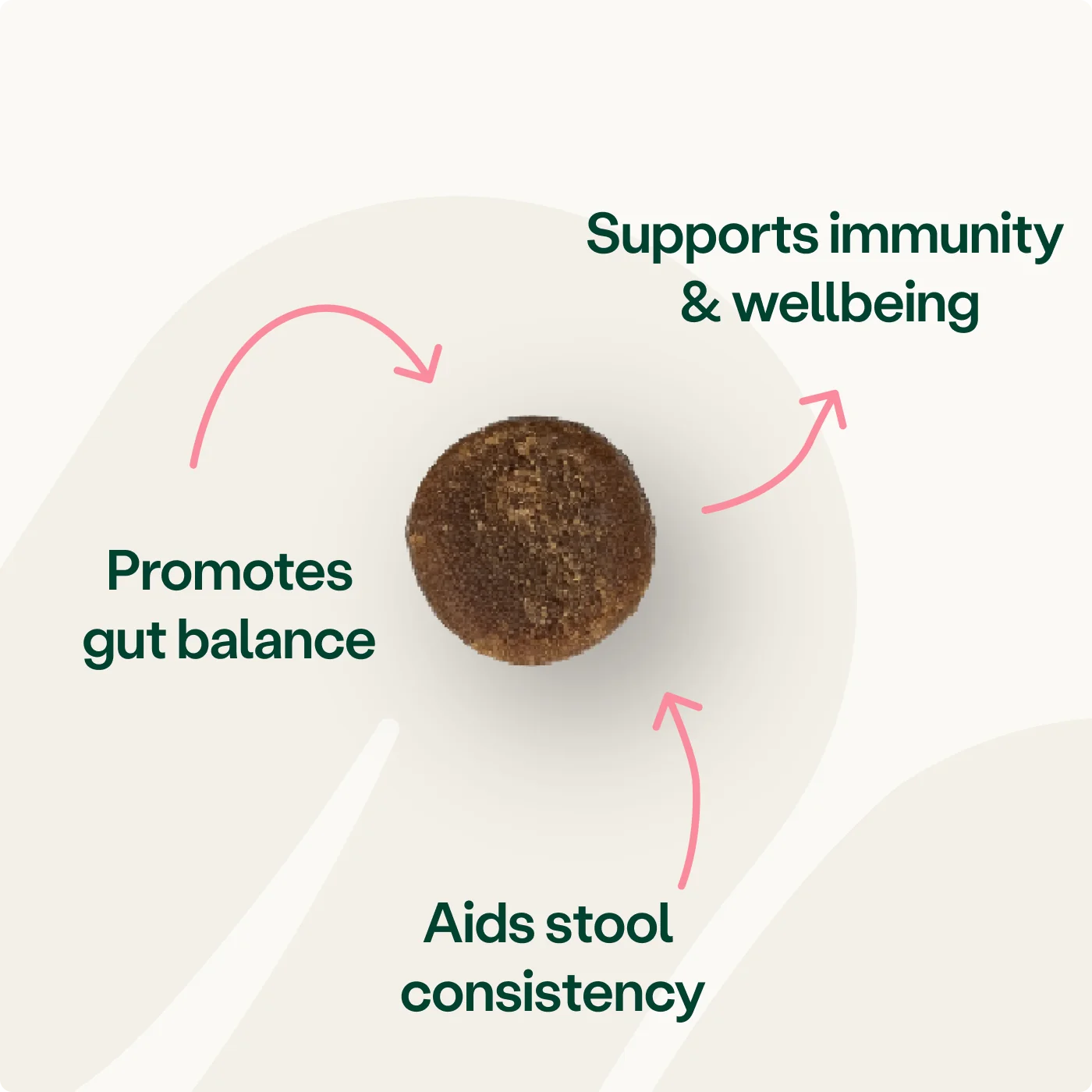 Digestive Support Pre, Pro & Postbiotic Bites - Image 2