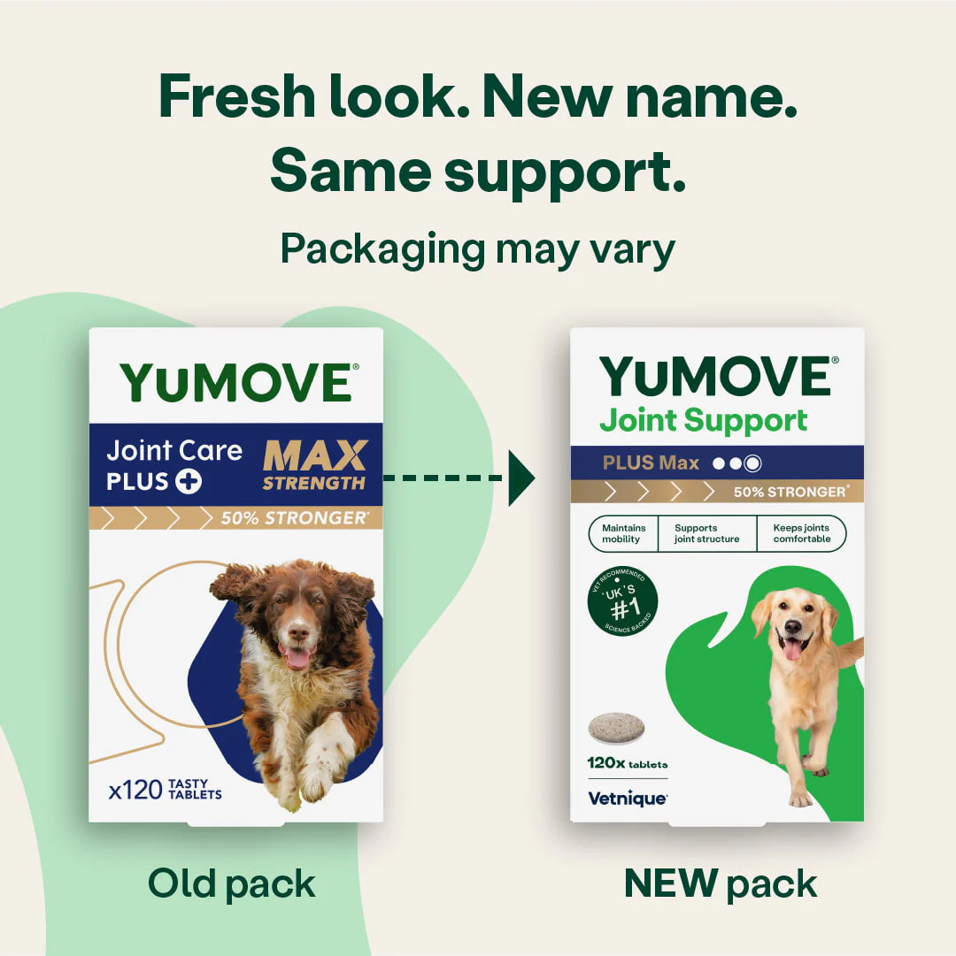Joint Support PLUS Max Tablets for Dogs - Image 4