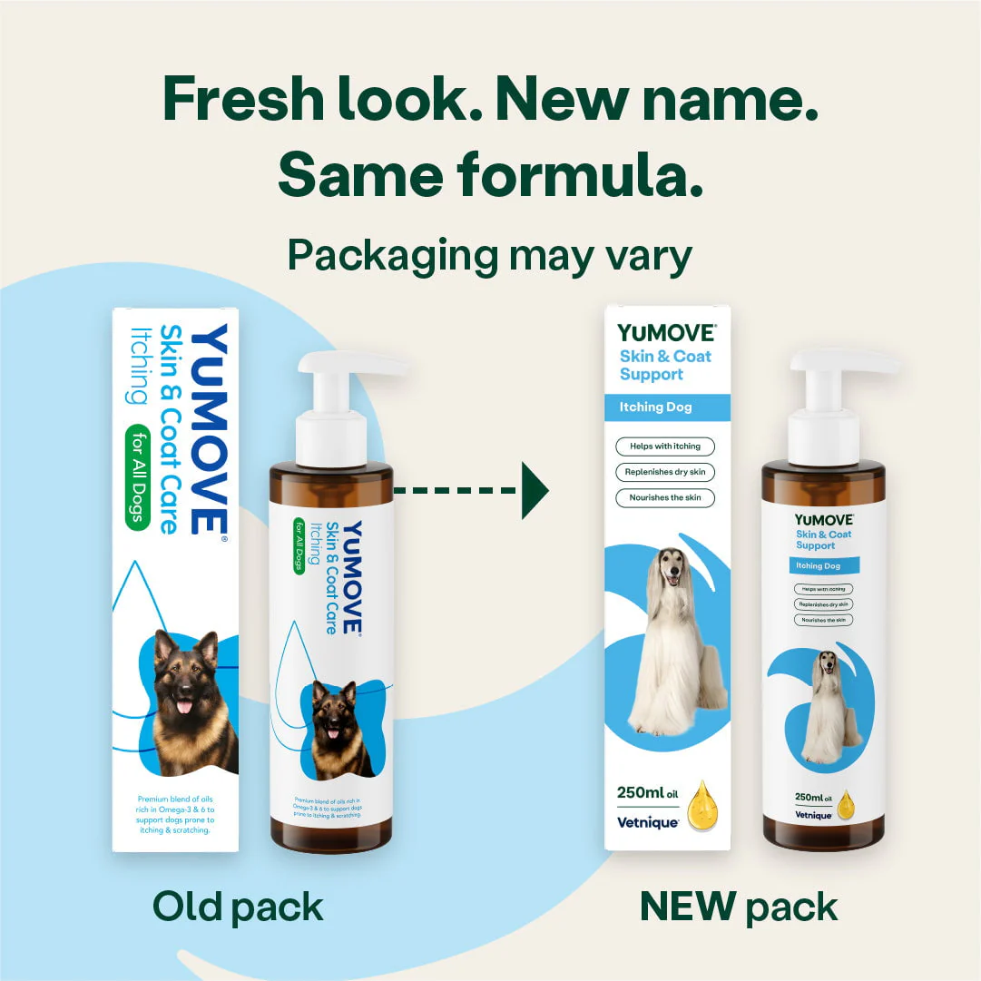 Skin & Coat Support Itching Dog - Image 3